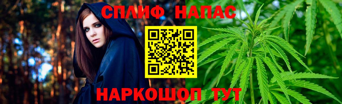 Каннабис план Новоалександровск